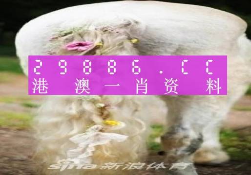 澳门一肖一码100准202ⅰ,精心解答解释落实_打包版91.82.50