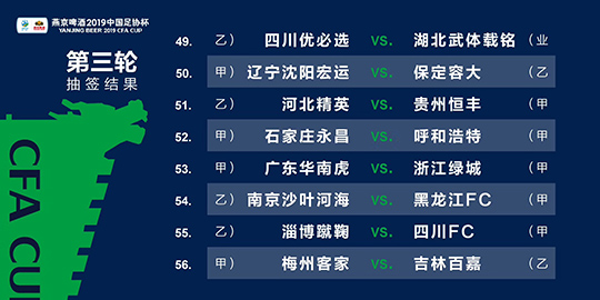 2024新澳三期必出一肖,内容解答解释落实_旗舰版95.48.69