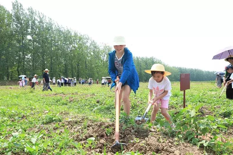 全年资料免费大全,深入解答解释落实_广播版40.33.55