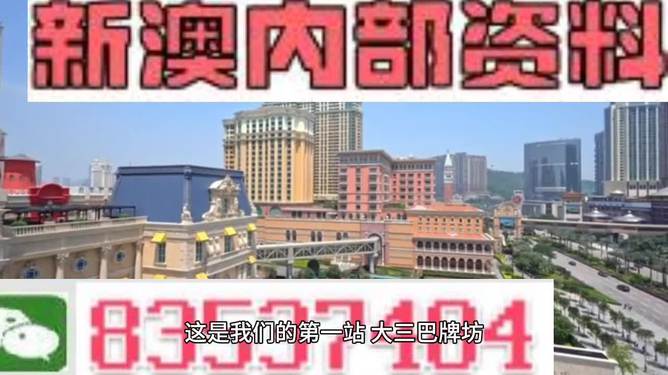 2024新澳正版免费资料大全,权重解答解释落实_核心版21.24.51