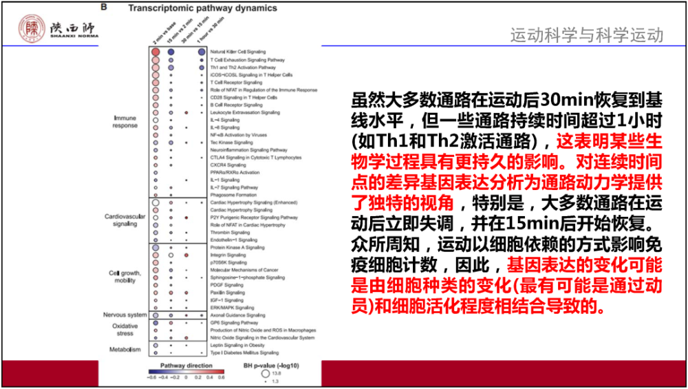 2023年澳门正版资料免费公开,多元解答解释落实_高级版90.55.83