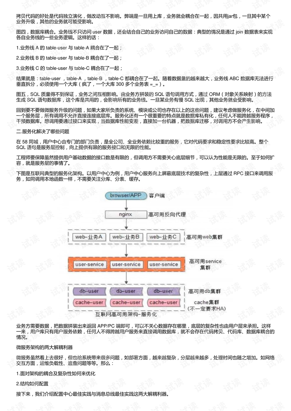 2024年12月4日 第49页