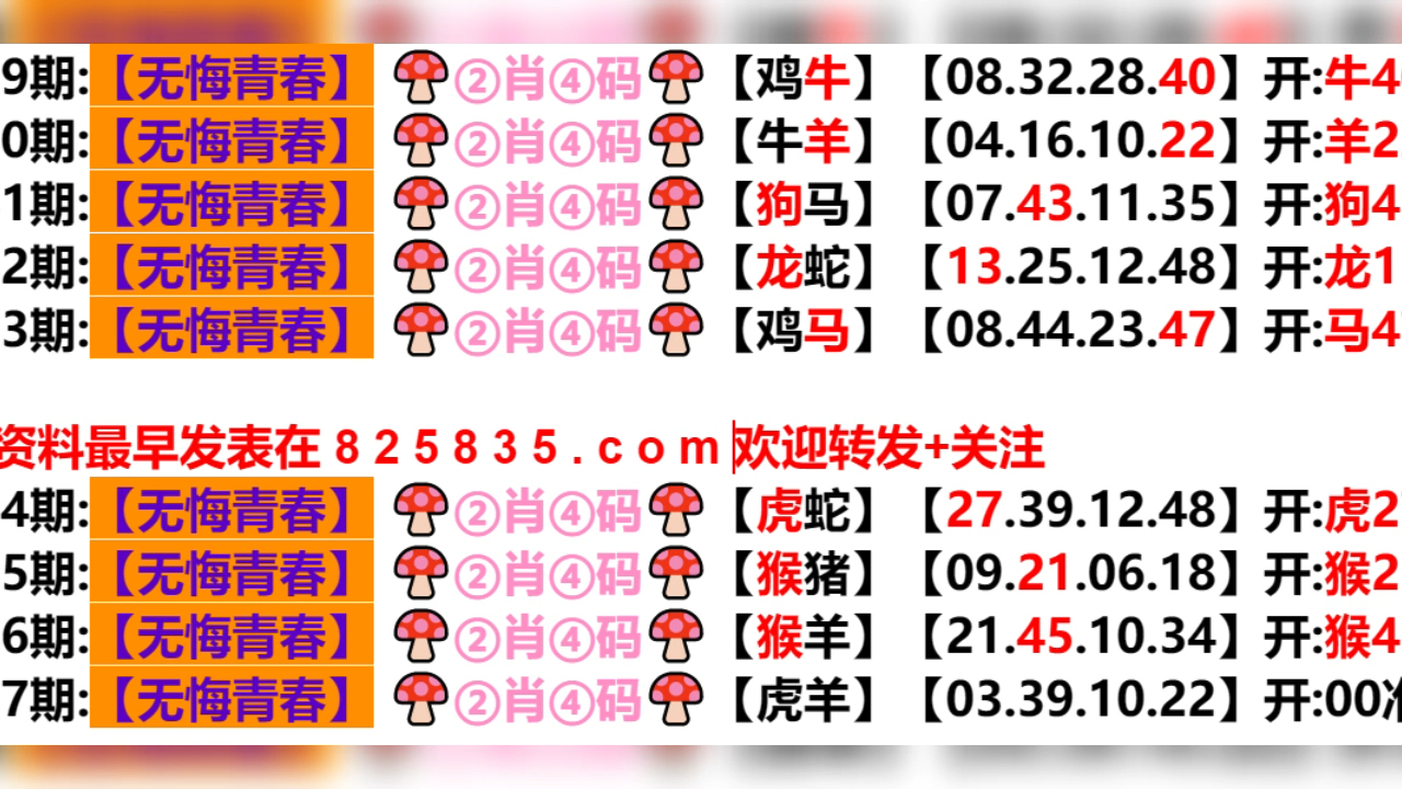 2024年新奥门王中王资料,专注解答解释落实_调整版88.38.56