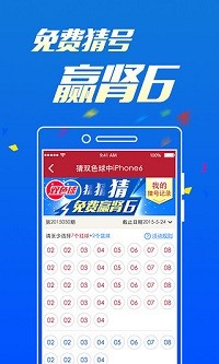 新澳门彩4949最新开奖记录,动态词语解释落实_Android256.184