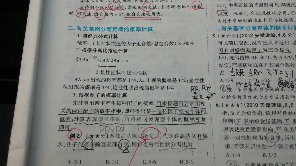 最准一肖一码一一子中特37b  ,最新正品解答落实_专业版150.205