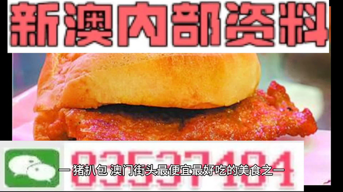 2024年澳门资料大全正版资料免费,精准解答解释落实_pack17.301