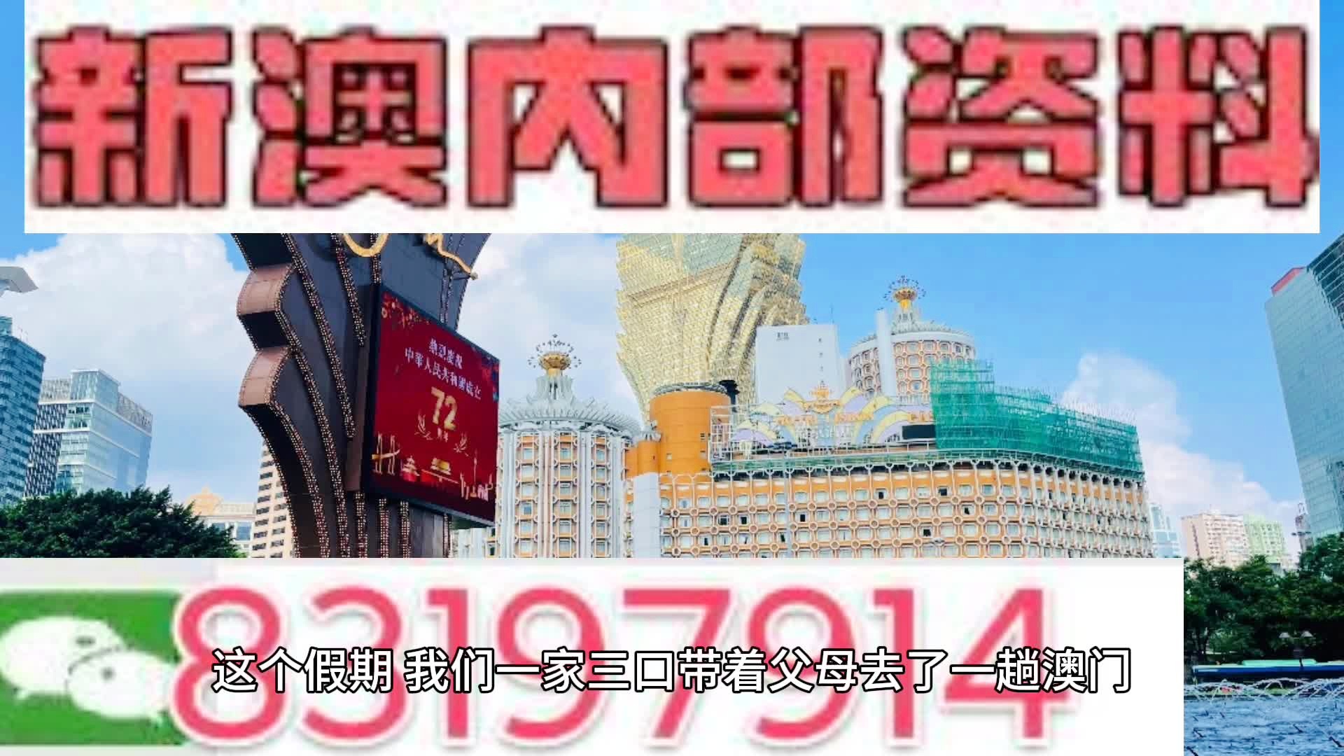 新澳门内部资料精准大全,效率资料解释落实_游戏版256.184