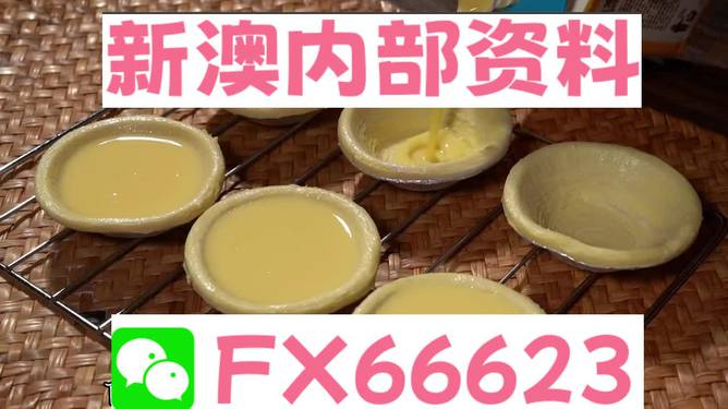 新澳精准资料大全,动态词语解释落实_标准版90.65.32