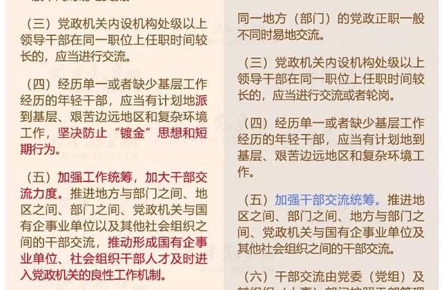 澳门正版资料大全免费大全鬼谷子,效率资料解释落实_经典版172.312