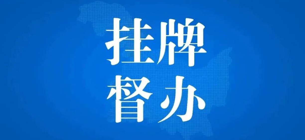 澳门挂牌正版挂牌之全篇必备攻略,决策资料解释落实_标准版90.65.32