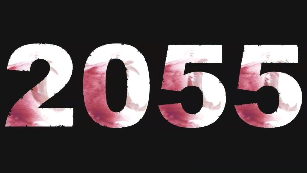 2024年11月15日 第11页