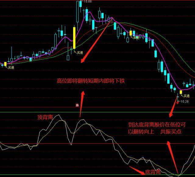 2024澳门特马今晚开奖07期,正确解答落实_HD48.32.12